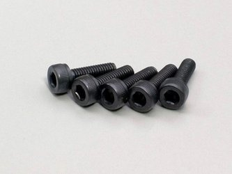 Cap Screw (M3x10/5pcs) 1-S23010