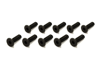 TP Flat Head Screw(Hex/M3x10/10pcs) 1-S33010TPH